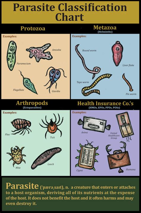 Parasites Classification Chart – Ricardo Levins Morales Art Studio Store