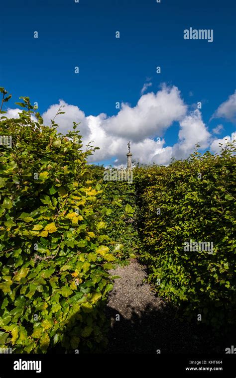 Russborough maze hi-res stock photography and images - Alamy