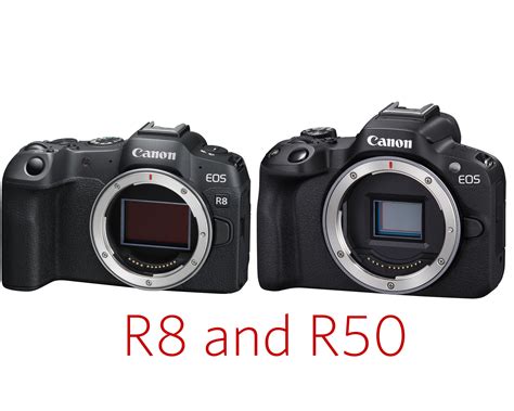 Canon Adds EOS R50 and EOS R8 to the Growing EOS R System – Seriously ...