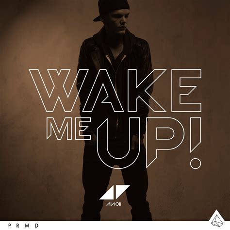 Avicii ft. Aloe Blacc - Wake Me Up! - Napi Music