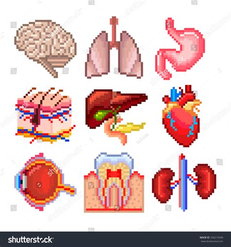 Pixel Human Body Parts Icons High Stock Vector (Royalty Free) 326213540 ...