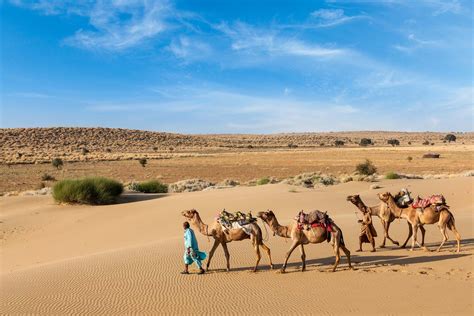 Group Tours & Luxury Holidays inc. Camel Trekking, Thar Desert | TransIndus