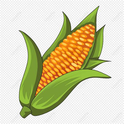 Cartoon Yellow Corn Illustration, Corn Clipart, Corn Leaves, Corn PNG Transparent Image And ...