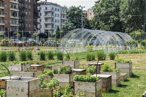 Gli orti urbani a Milano: tutto il verde da coltivare anche se vivi in ...