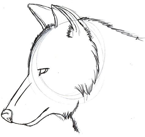 Free Easy Wolf Drawings, Download Free Easy Wolf Drawings png images, Free ClipArts on Clipart ...