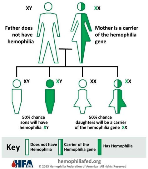 Hemophilia Inheritance | Hemophilia Support | Hematology, Disorders ...