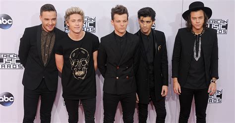 Will One Direction Ever Reunite? | POPSUGAR Entertainment