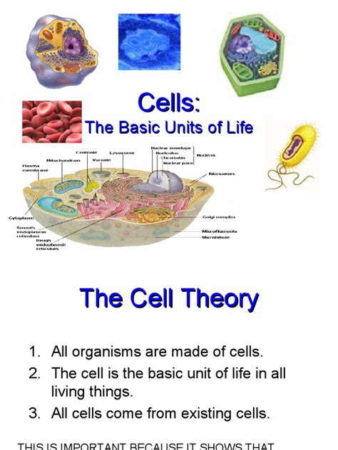 Cell Structure and Functions | PDF | Cell (Biology) | Organelle