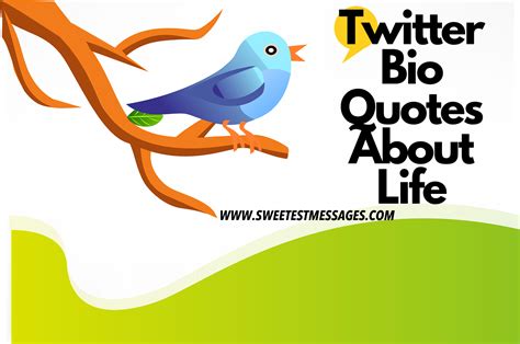 Twitter Bio Quotes: 200+ Twitter Bio Quotes About Life - Sweetest Messages