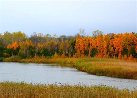 Wisconsin Fall Colors- 16 Top Spots for Epic Fall Foliage