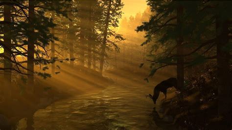 Deer Hunting Backgrounds - Wallpaper Cave