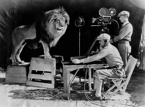 10 Fascinating Stories Behind the World’s Most Famous Metro Goldwyn Mayer Lion – Adobe Guru