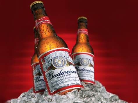 Top 10 Beer Brands of the World