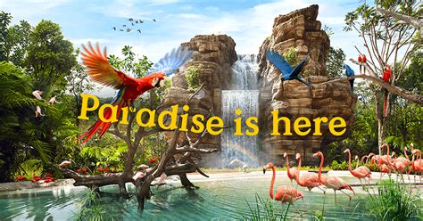 Visit The New Mandai Bird's Paradise - Must Share Good Things