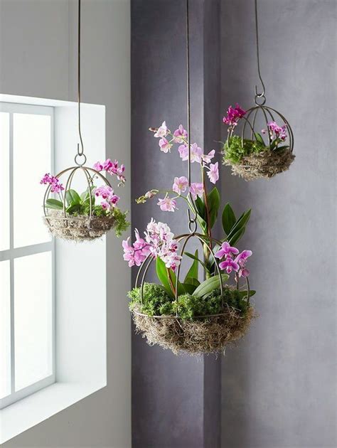 40 Dreamy Hanging Plants Ideas For Best Home Décor | Hanging plants ...