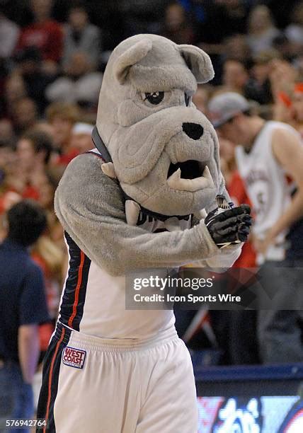 116 Gonzaga Mascot Spike Stock Photos, High-Res Pictures, and Images ...