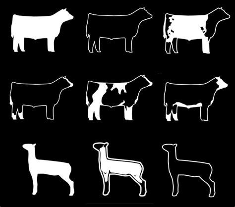 Free Show Steer Silhouette, Download Free Show Steer Silhouette png ...