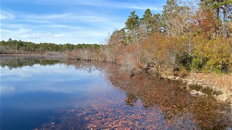 Carolina Sandhills National Wildlife Refuge - YouTube