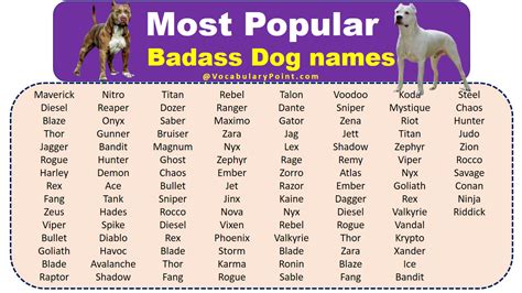 500+ Most Popular Badass Dog Names - Vocabulary Point