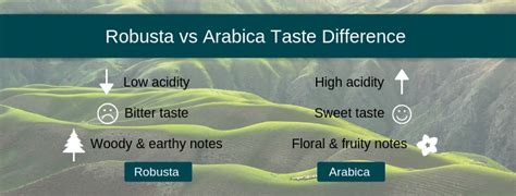 Which is the best coffee – Arabica or Robusta? Taste, Caffeine & Origin