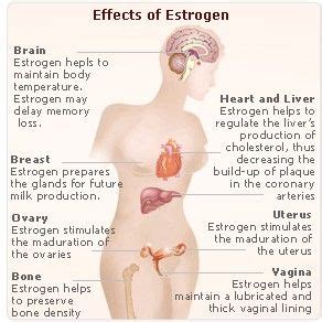 Effects of Estrogen Low Estrogen Symptoms, Too Much Estrogen, Constant Headaches, Learn Yoga ...