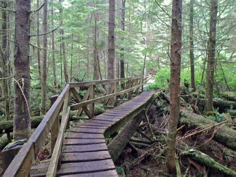 West Coast Trail Blog: Hiking One of the Best Hikes in Vancouver Island ...