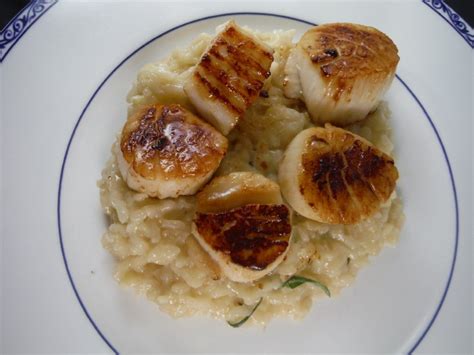 Sea Scallop Risotto – Greasy Little Birds