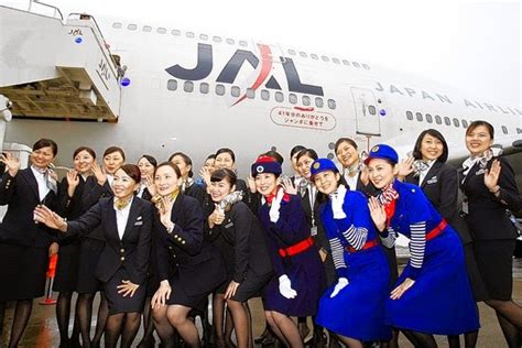 Fly Gosh: Japan Airlines Cabin Crew Interview Process and Stages ...