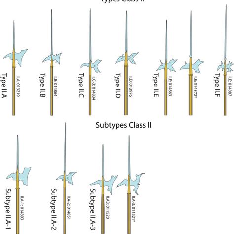 Class I and its respective types and subtypes, # The author. | Download ...