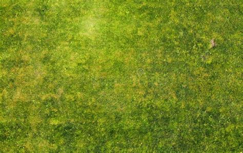 Green Grass Texture Background. Aerial. Stock Image - Image of field, pattern: 134811661