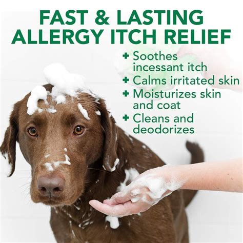 Vet's Best Allergy Itch Relief Dog Shampoo 16 oz - Naturally For Pets