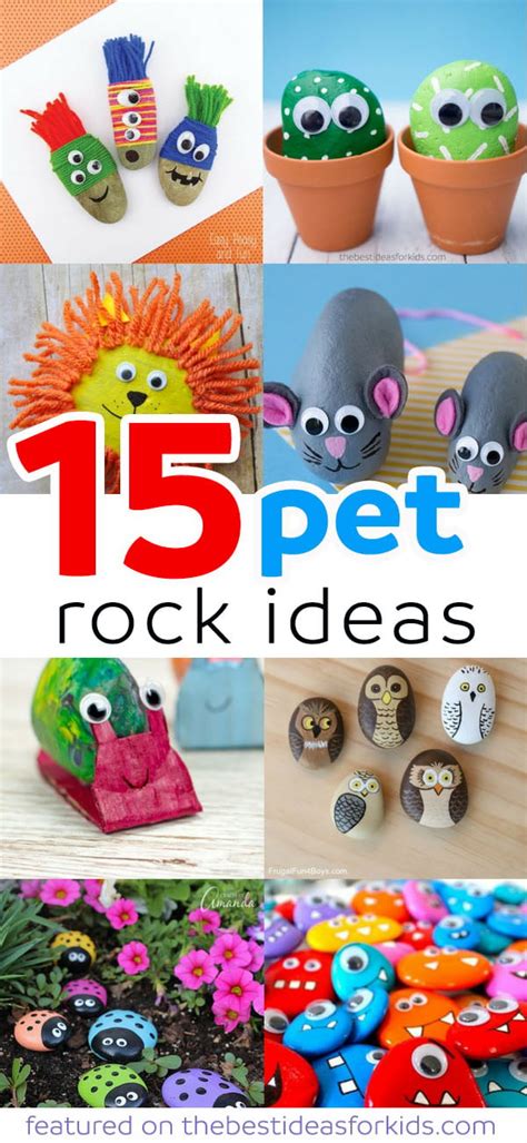 15 Fun Pet Rock Ideas - The Best Ideas for Kids