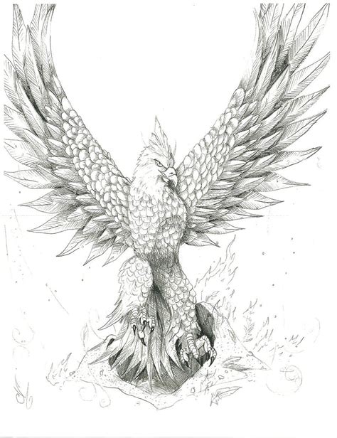 oriental phoenix drawings - Google Search Cool Arm Tattoos, Body Art Tattoos, Tattoos For Guys ...