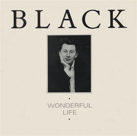 Music on vinyl: Wonderful life - Black