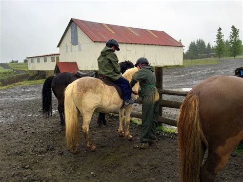 Doing A Horseback Riding Tour in Iceland - The World Is A Book