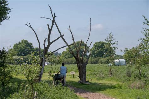 Knepp Wildland Safaris & Camping - Hipcamp in West Sussex, England