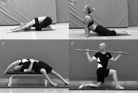 Examples of mobility development exercises. A, Flexion. B, Extension ...