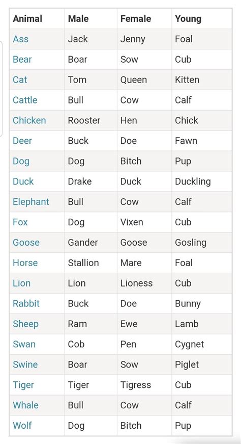 Pin by Bindu Madhavi Racherla on Language activity for P | Male and female animals, Learn ...