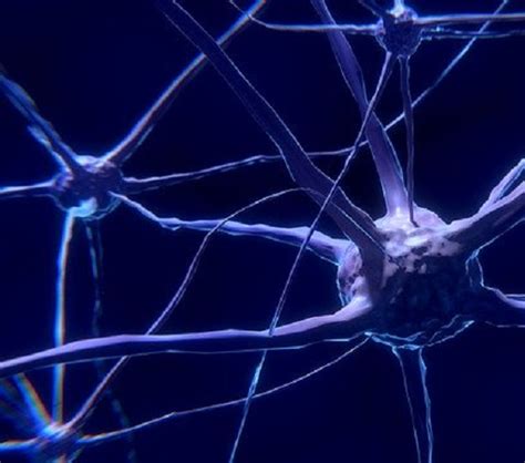 New breakthrough in the development of artificial neurons | Medical News Bulletin