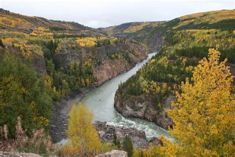 Fall colours along the Stikine River, Telegraph Creek Road