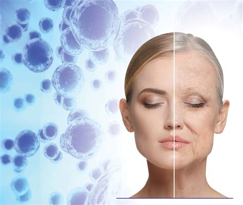 Stem Cells & Skin Rejuvenation • المركز العربي للخلايا الجذعية