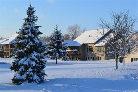 Snowy Backyard Photo - Green Thumb Advice