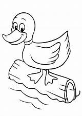 Free & Easy To Print Duck Coloring Pages  Tulamama sketch template