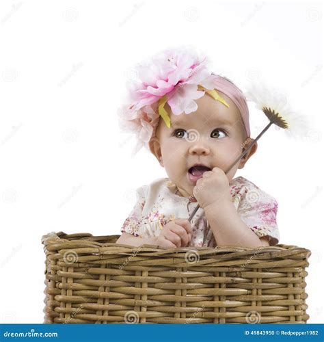 Beautiful Baby Girl In A Basket Stock Photo - Image: 49843950