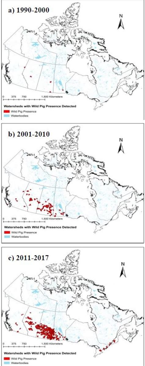 Wild pigs causing 'ecological disaster' as they spread rapidly across ...