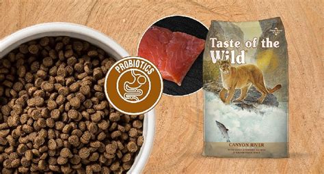 5 Taste of the Wild Cat Food Reviews (for 2023)