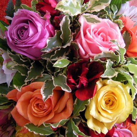 Rose Colors and Their Meanings | HubPages