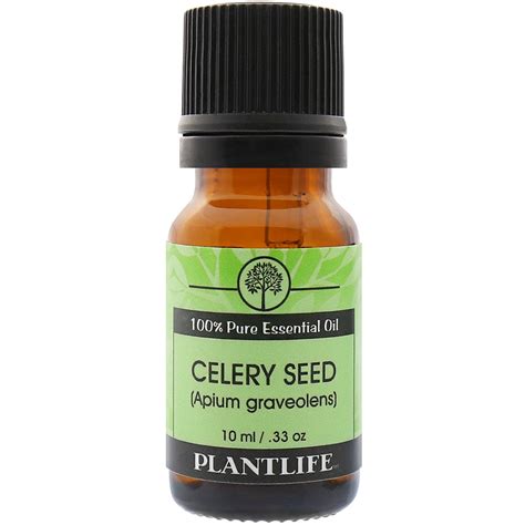 Celery Seed Essential Oil | 100% Pure Essential Oils| Plantlife