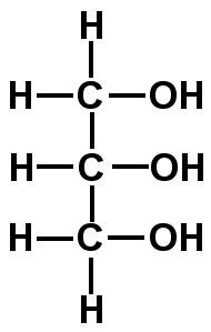 Biology--biomolecules - ProProfs Quiz