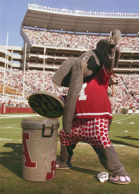 Big Al: The evolution of the Alabama mascot's look throughout the years - al.com